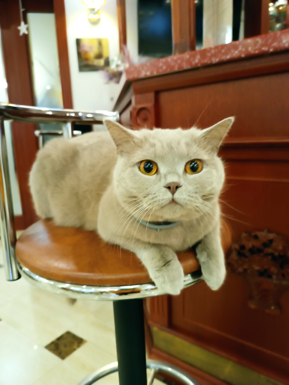 Гостиница Горный хрусталь Красная Поляна-147