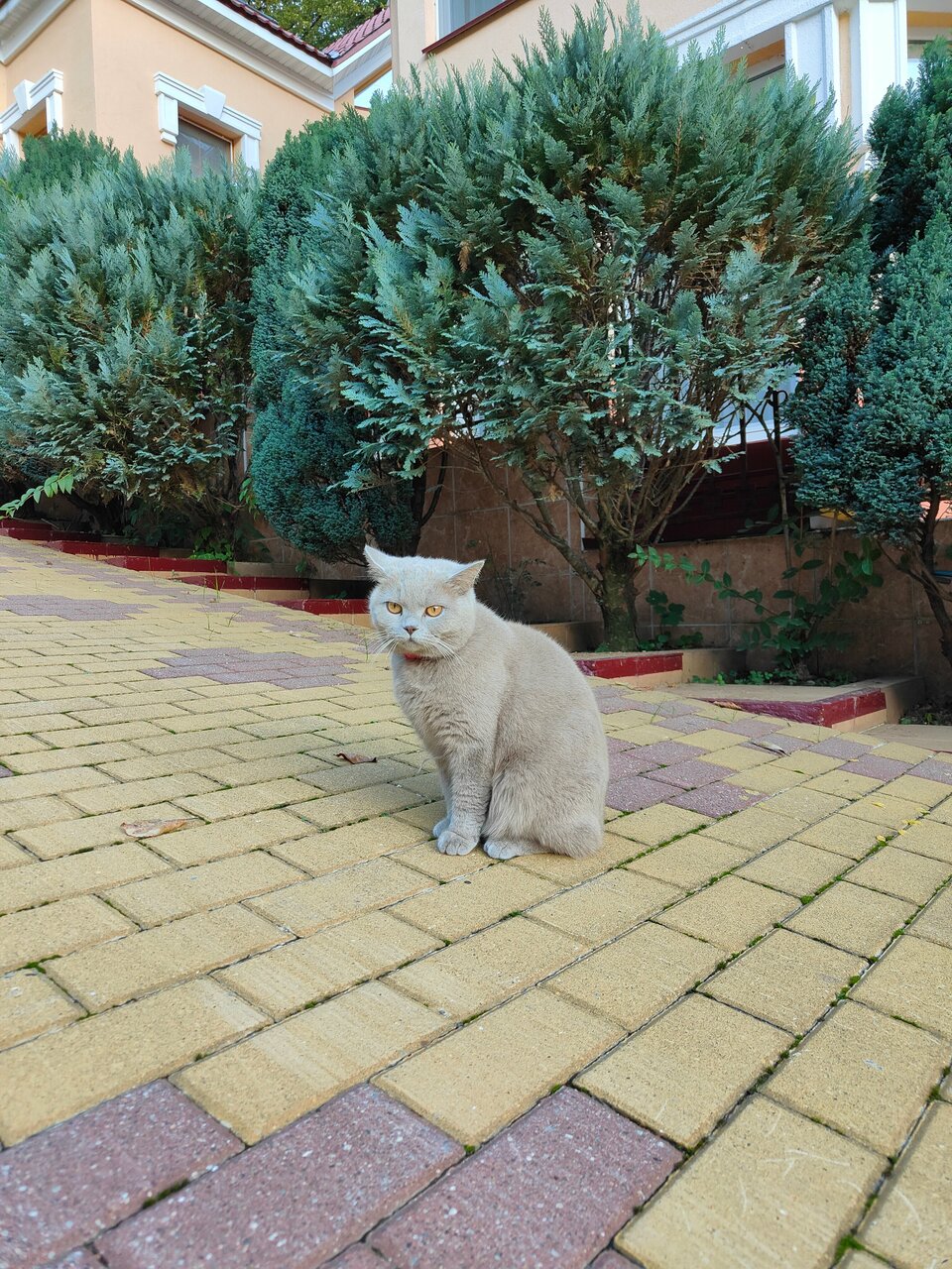 Гостиница Горный хрусталь Красная Поляна-83