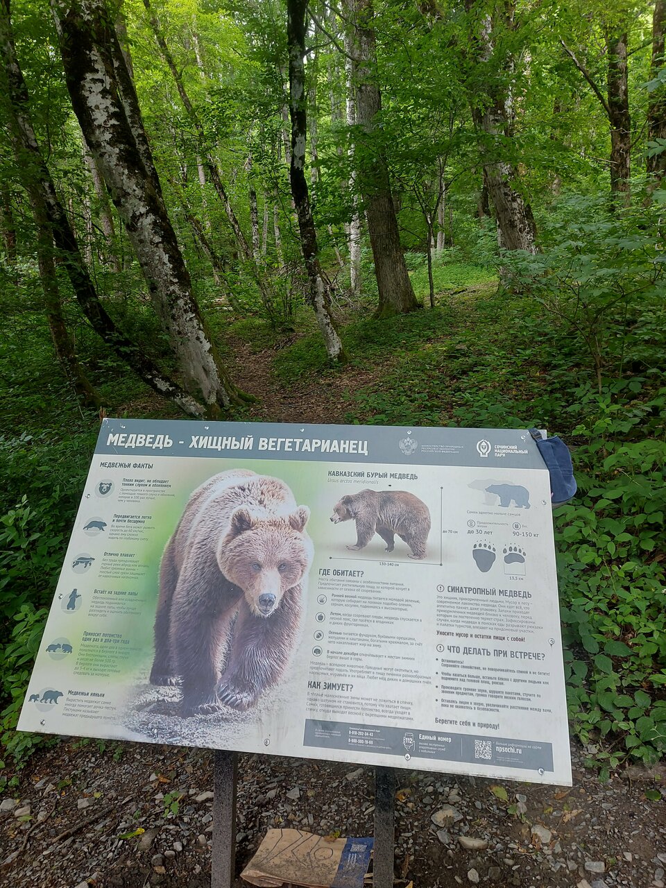 Гостиница Горный хрусталь Красная Поляна-107