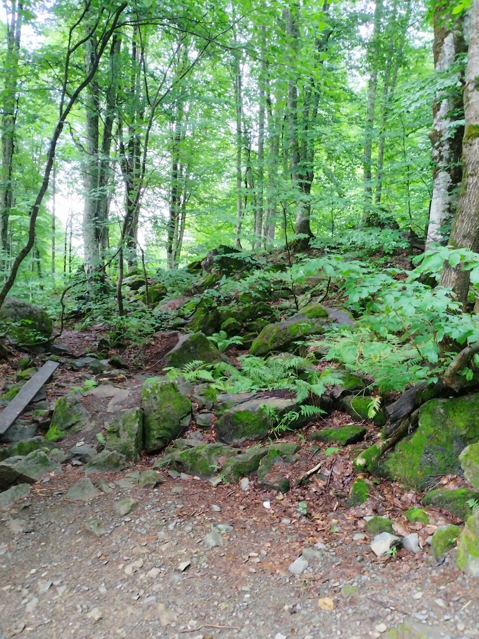 Гостиница Горный хрусталь Красная Поляна-193