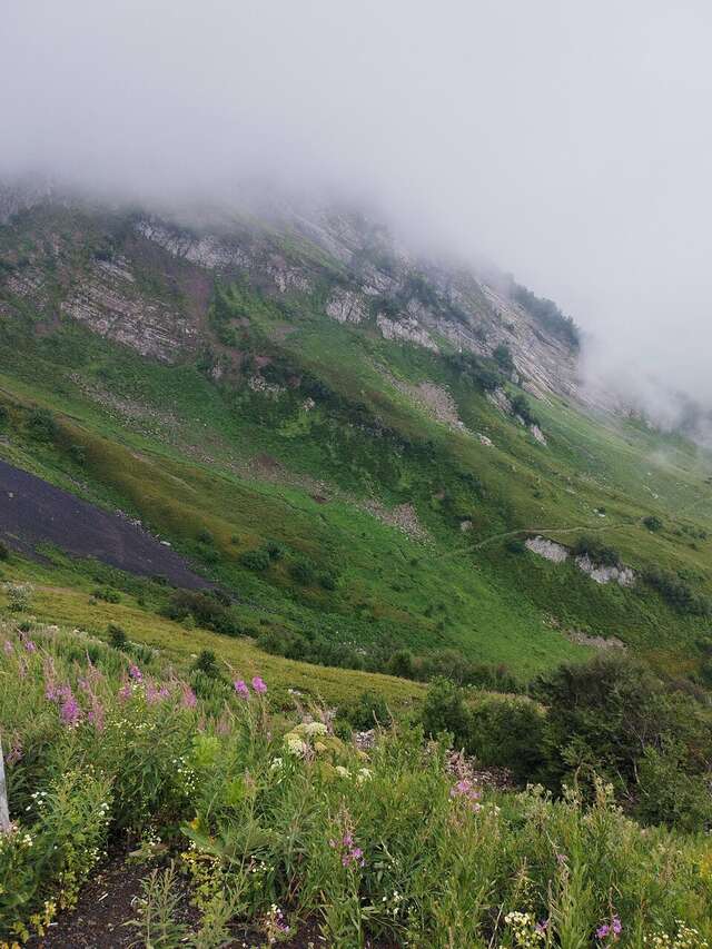 Гостиница Горный хрусталь Красная Поляна-213