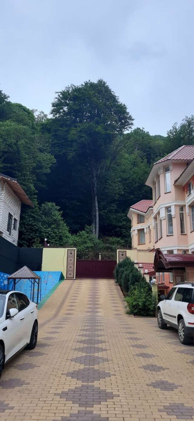 Гостиница Горный хрусталь Красная Поляна-142