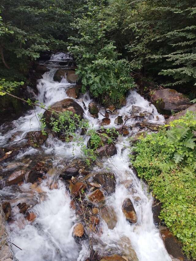 Гостиница Горный хрусталь Красная Поляна-140