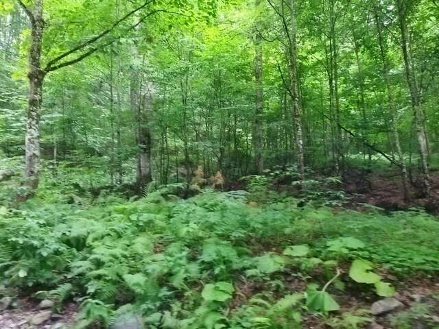 Гостиница Горный хрусталь Красная Поляна-125