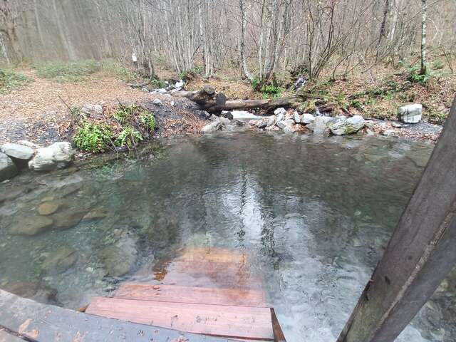 Гостиница Горный хрусталь Красная Поляна-96