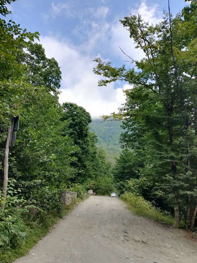 Гостиница Горный хрусталь Красная Поляна-221