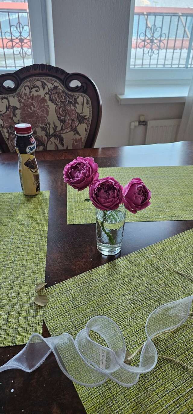 Гостиница Горный хрусталь Красная Поляна-127