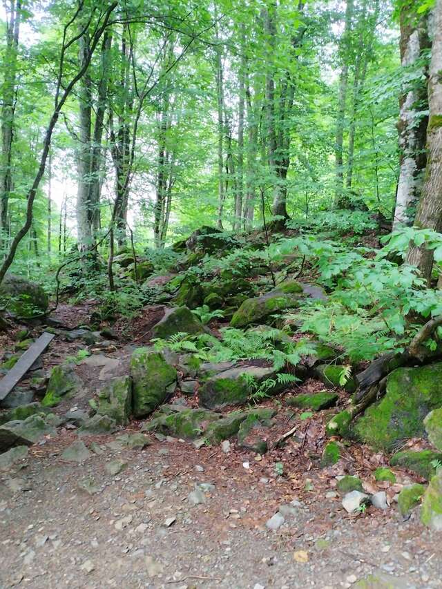 Гостиница Горный хрусталь Красная Поляна-192