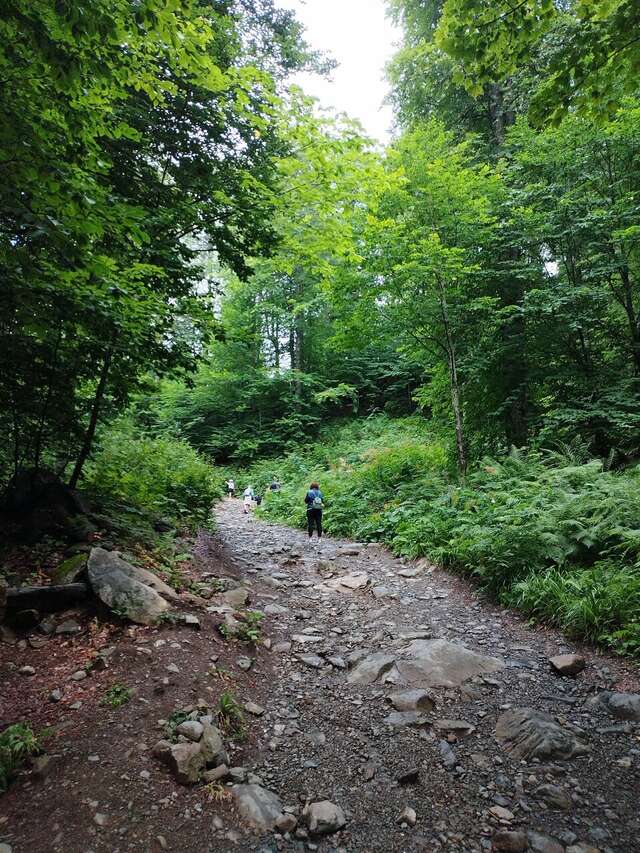 Гостиница Горный хрусталь Красная Поляна-244